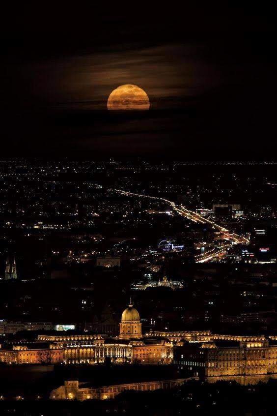 Artemisia Luxury Apartments Jardin Budapest Kültér fotó